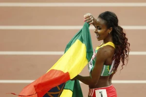 SP - Zlatna Dibaba!