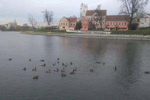 Uživo iz Belorusije - Domaći mediji nezainteresovani, narod i ne zna za utakmicu!