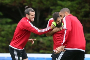 Bradati zmaj morao da odloži venčanje