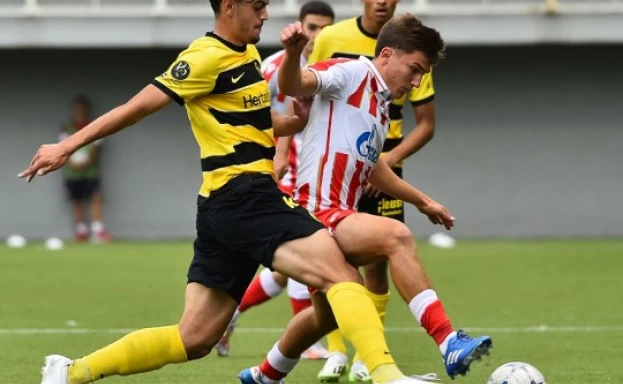 FK Crvena zvezda
