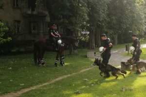 UŽIVO ispred ''Marakane'' - Kao da se igra pred navijačima! 