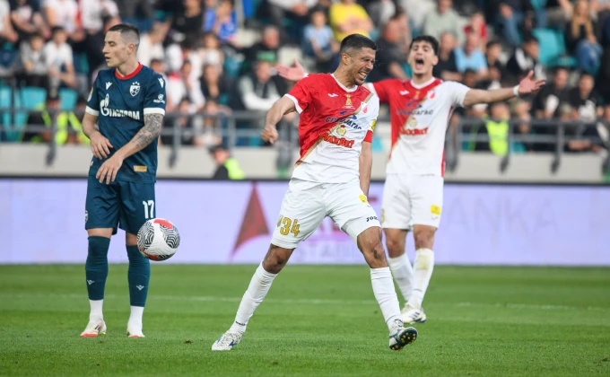 fkvojvodina.rs/Nenad Mihajlović