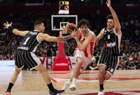 Ima naka tajna veza - Teodosić zove Pajolu u Zvezdu!