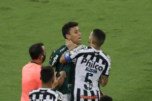 Kakvo finale! Palmeiras u DEVETOM minutu nadoknade vremena osvojio Kup Libertadores!