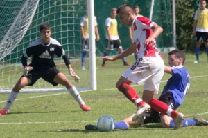 Brodarac ili Zvezda, ko će u Ligu šampiona? I Partizan se pita!