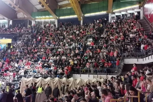 "Delije" u euforiji nakon ubedljive pobede, "crveno-beli" ples u Beogradu! (TVITOVI)