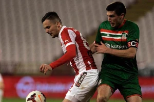 Precrtan Despotović