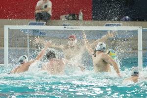 LŠ - Zalanki mučio Novi Beograd, Glušac "spustio roletnu" i omogućio Ukropini da sruši Olimpijakos