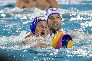 Hrvatski selektor se žali na ''poluidiote'', a ono pesničenje ne pominje...