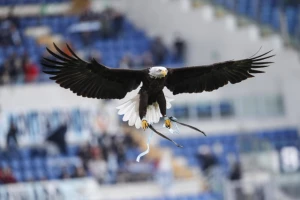 Lacio ponudio igraču Liverpula petogodišnji ugovor