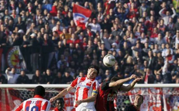 crvenazvezdafk.com