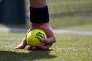 Vimbldon - Raonić zaustavio Kverija