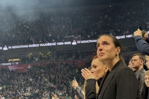 Vidi, Dule, šta si napravio...