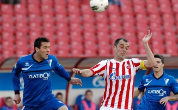 crvenazvezdafk.com