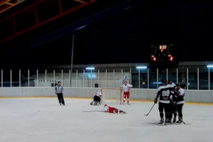 Zvezda dobila buran derbi, tuča na ledu, ''pljuštala'' isključenja!