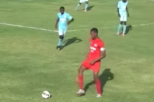Vojvodina pred derbi za Zvezdom dovela novog igrača - Sa Jamajke!
