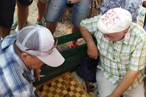 Zvezdine 'Delije' ne biraju sport...