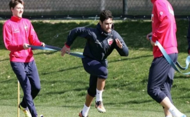 crvenazvezdafk.com