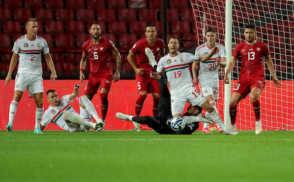 Pedja Milosavljevic / STARSPORT