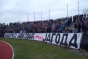 Ljudi, mečka igra hokej!