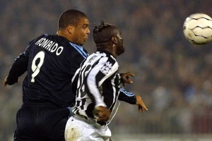 Tariba Vesta oterala mafija, 28 ili 40 godina?