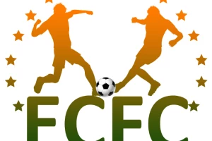 Partizan fantastičan, Videoton počišćen sa terena!