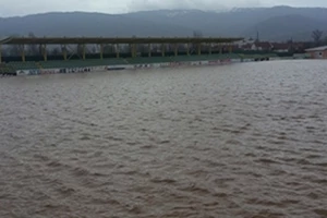 Ono u Borči nije ništa, pogledajte na šta liči ''Kukuš''!