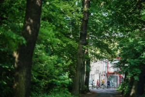 Njih dvojica su danas gledali Bajern uživo, ali su skupo platili!