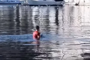 Pojavio se snimak napada na Zvezdine igrače, prolazi majka sa bebom, a onda nastaje haos!