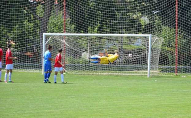 fkvojvodina.rs