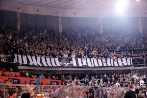 Kako Željko tempira Partizanovu formu? ''Grobari'' oduševljeni, ko je postao ''igračina''? (TVITOVI)
