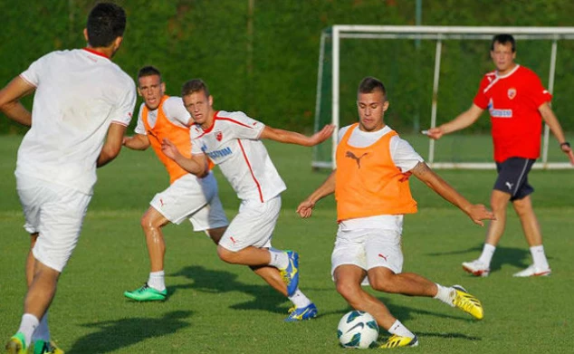 crvenazvezdafk.com