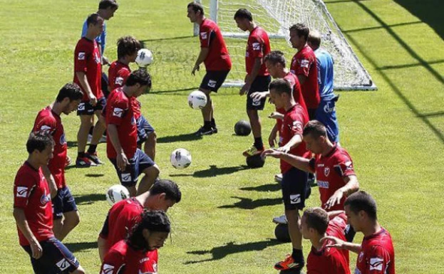crvenazvezdafk.com
