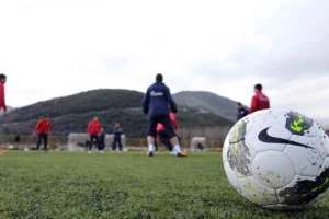 Zvezdini prolećni radovi